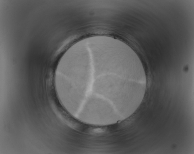 X0000115820163200912241942