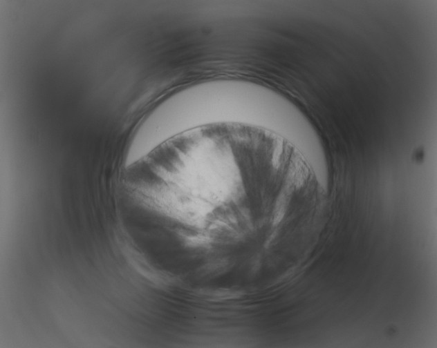 X0000115820165200912241942