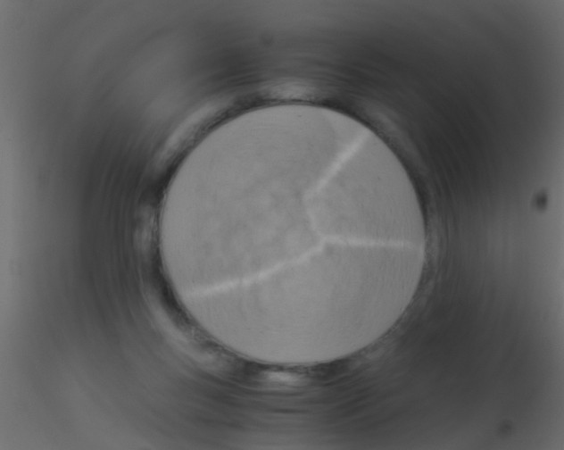 X0000115820167200912241942