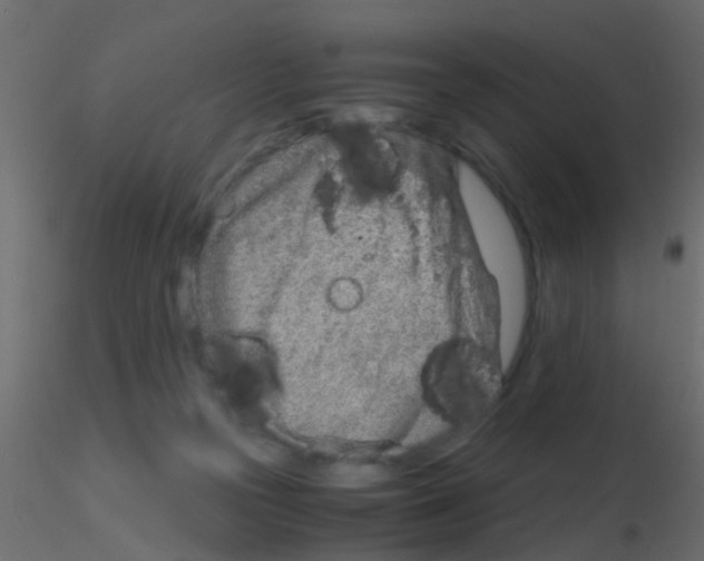 X0000115820169200912241942