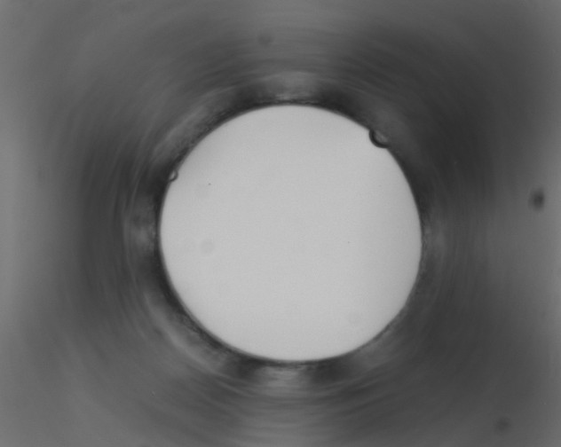 X0000115820170200912241942