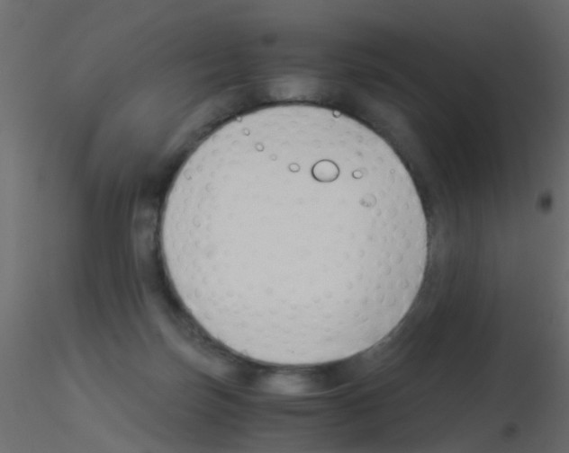 X0000115820171200912241942