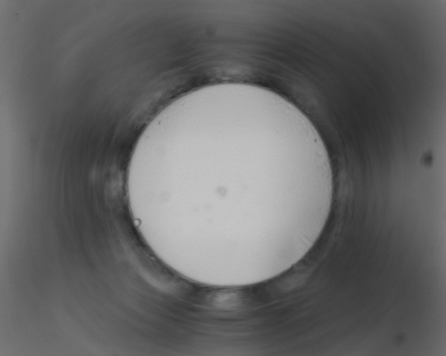 X0000115820173200912241942