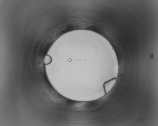 X0000115820178200912241942