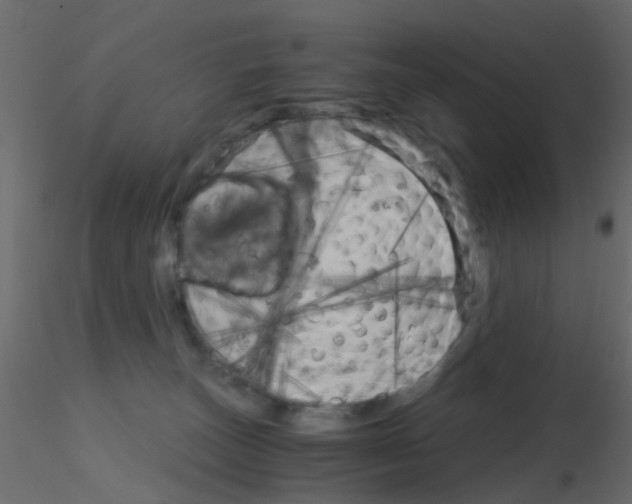 X0000115820179200912241942