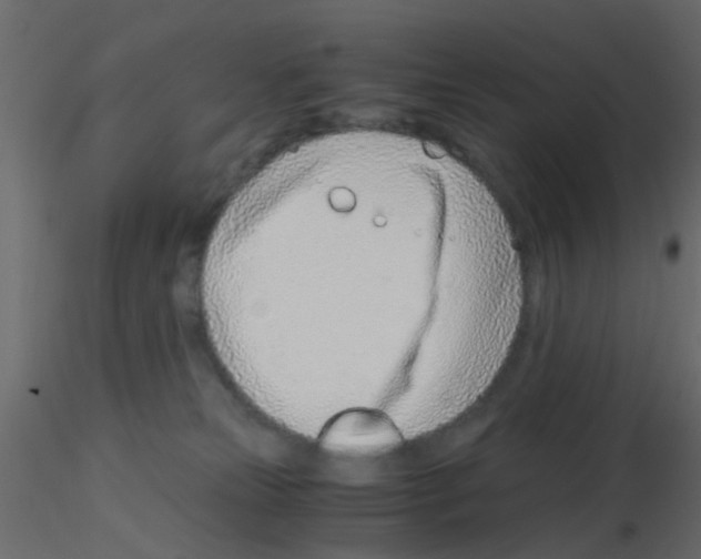 X0000115820181200912241942