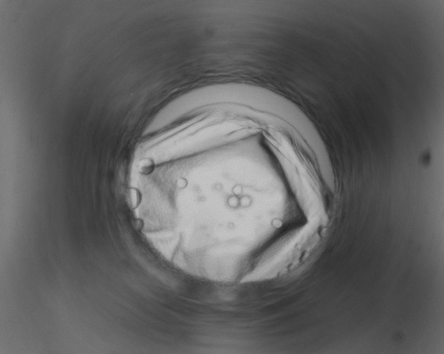 X0000115820182200912241942