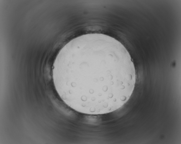 X0000115820187200912241943