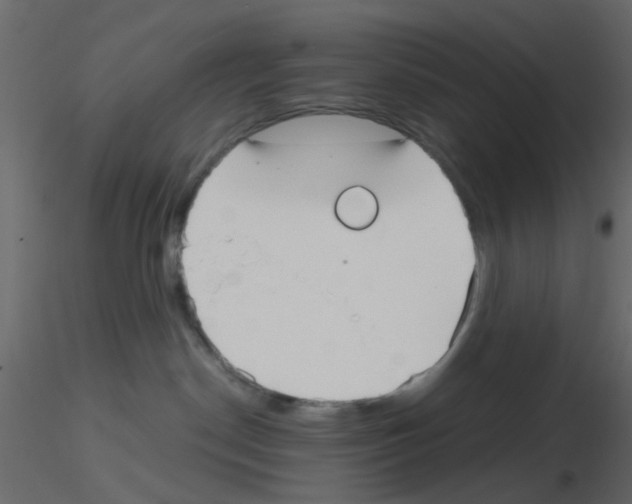 X0000115820190200912241943