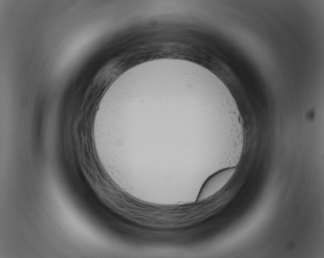 X0000115820191200912241943