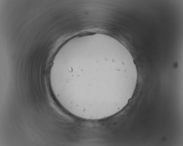 X0000115820193200912241942