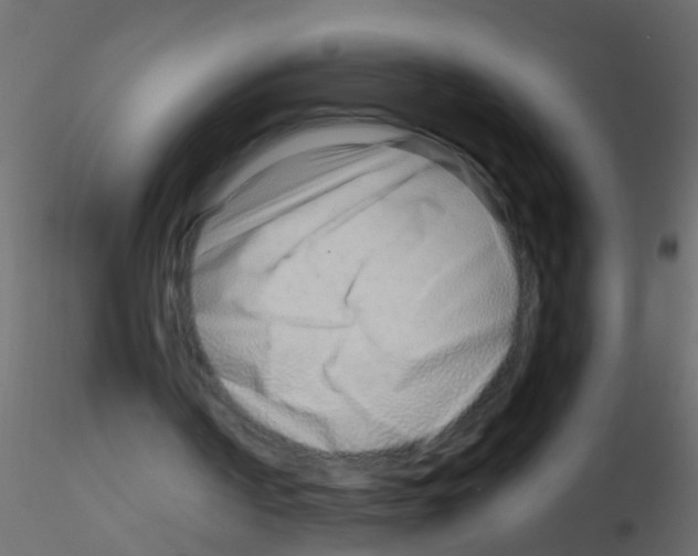 X0000115820194200912241942