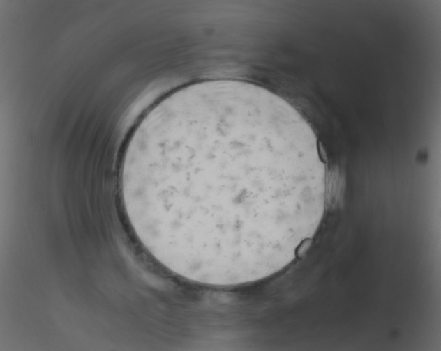 X0000115820195200912241942