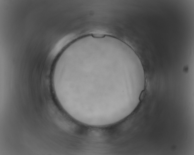 X0000115820199200912241942