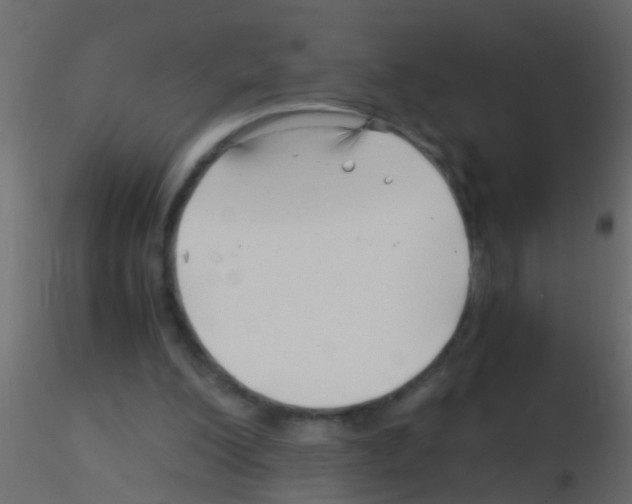 X0000115820200200912241942