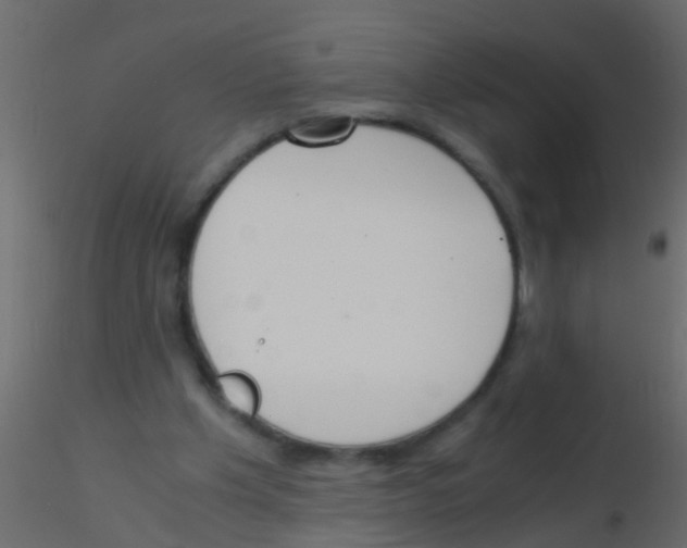 X0000115820201200912241942