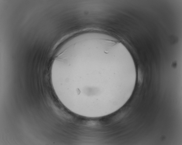 X0000115820204200912241942