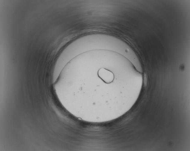 X0000115820205200912241942