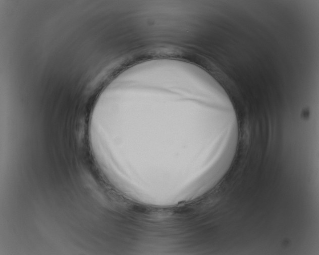 X0000115820206200912241942