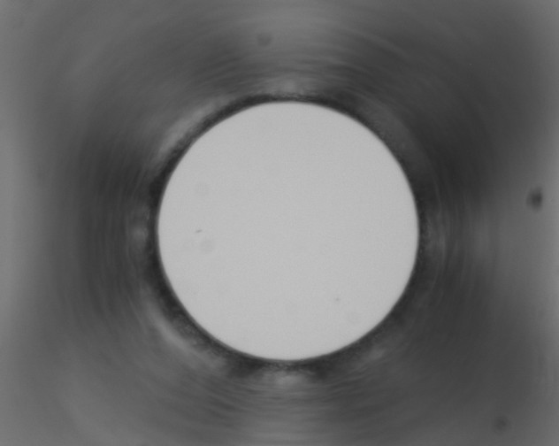 X0000115820208200912241942