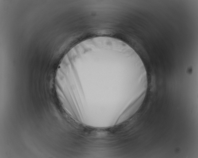 X0000115820210200912241942