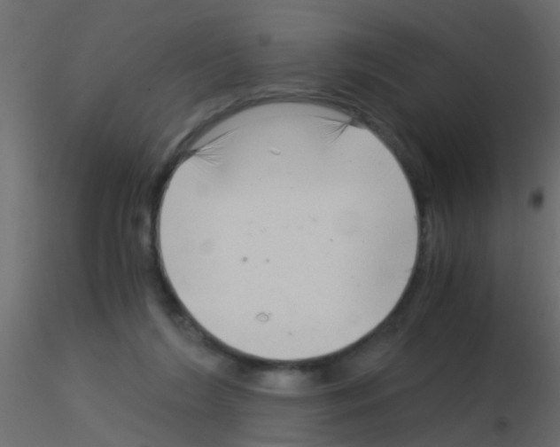 X0000115820212200912241942