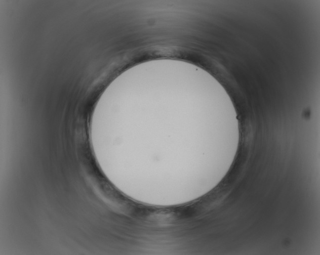 X0000115820213200912241942