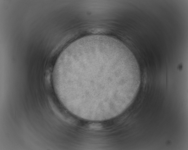 X0000115820214200912241942