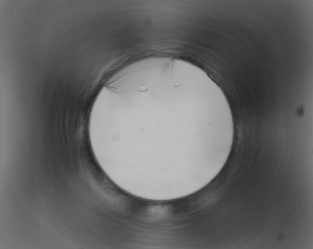 X0000115820216200912241942