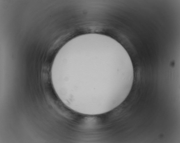 X0000115820218200912241942