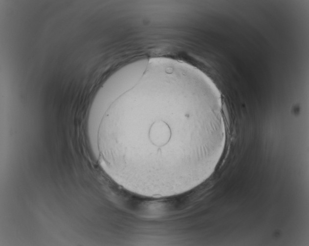 X0000115820219200912241942