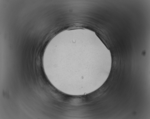 X0000115820220200912241942