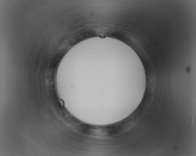 X0000115820221200912241942