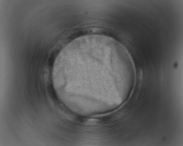 X0000115820222200912241942