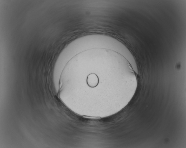 X0000115820223200912241942