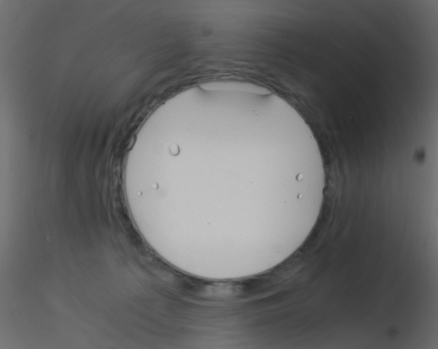 X0000115820225200912241942