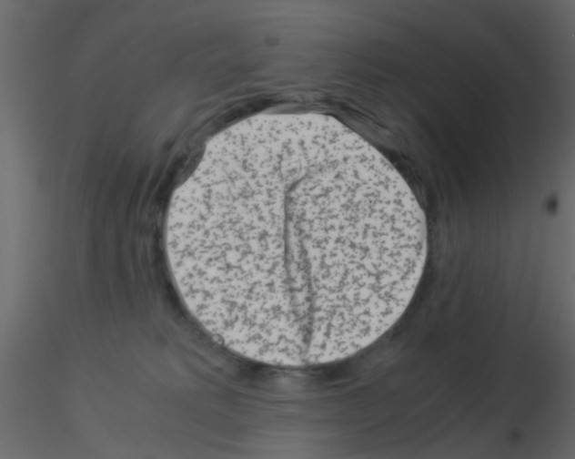 X0000115820229200912241941