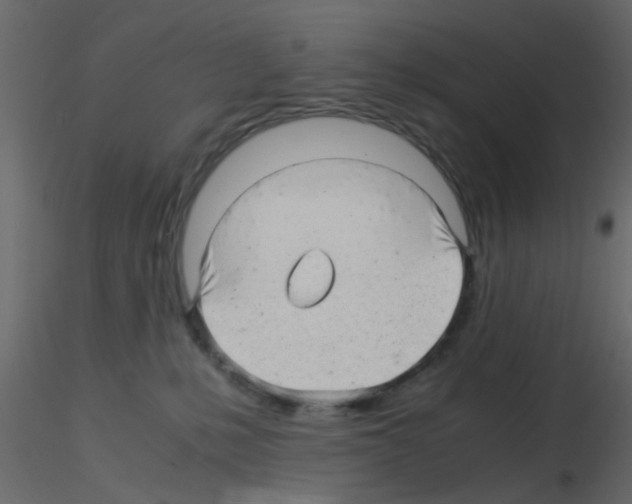 X0000115820231200912241941