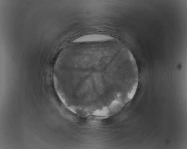 X0000115820233200912241941