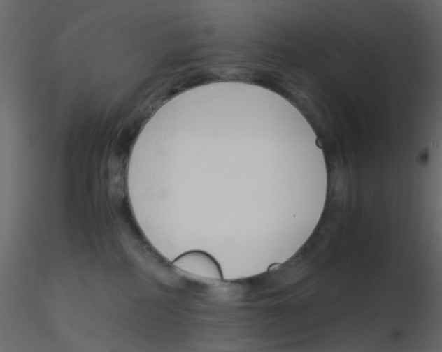 X0000115820234200912241941