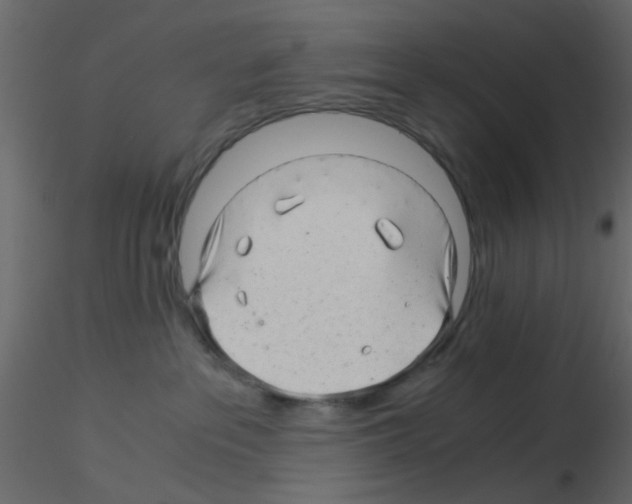 X0000115820237200912241941