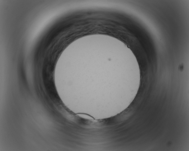 X0000115820239200912241941