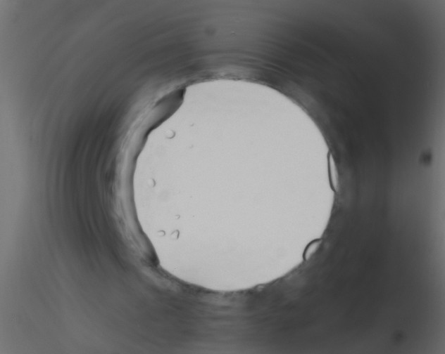 X0000115820241200912241941