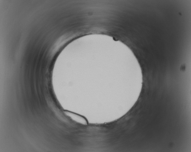 X0000115820242200912241941