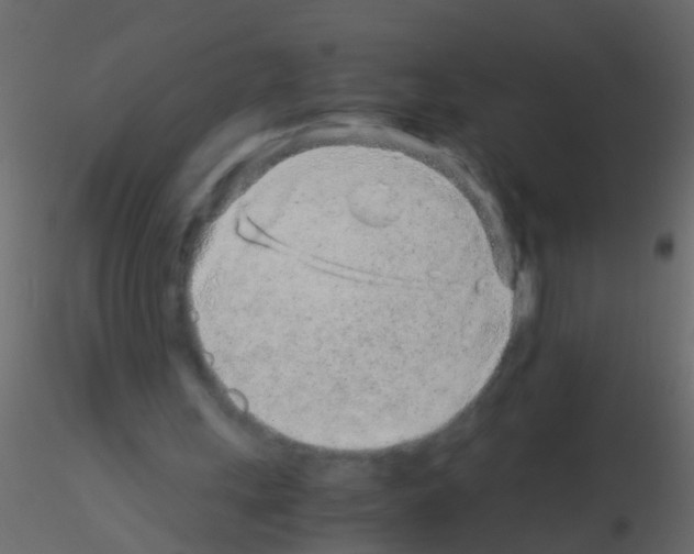 X0000115820243200912241941