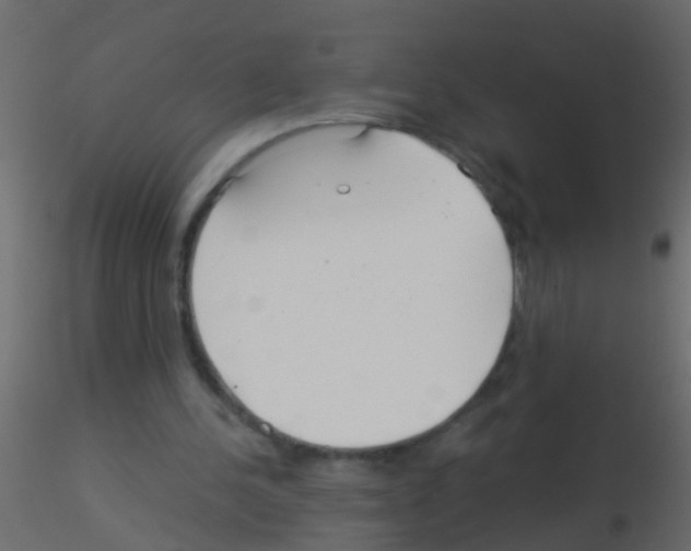 X0000115820244200912241941