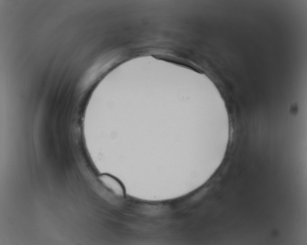 X0000115820245200912241941