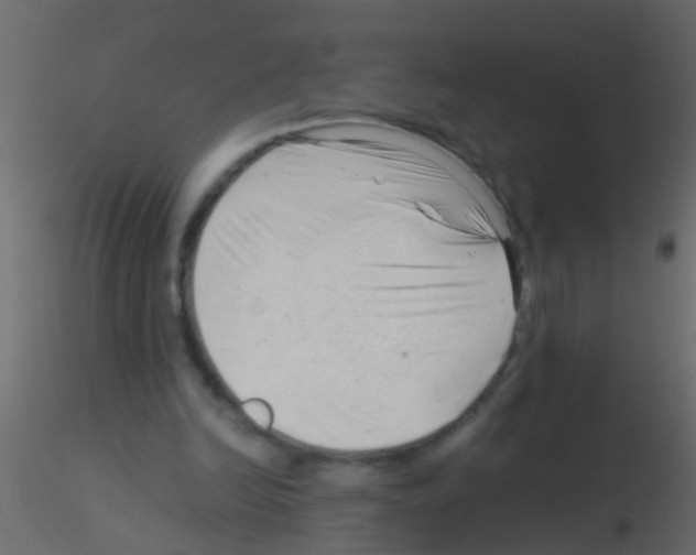 X0000115820246200912241941