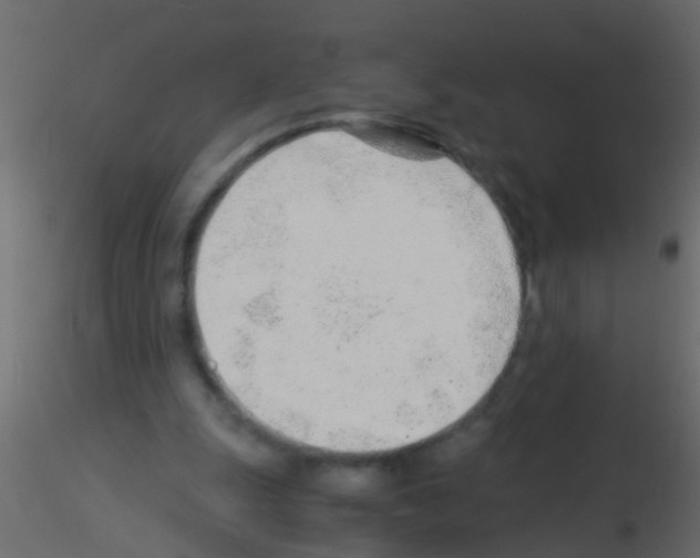 X0000115820247200912241941