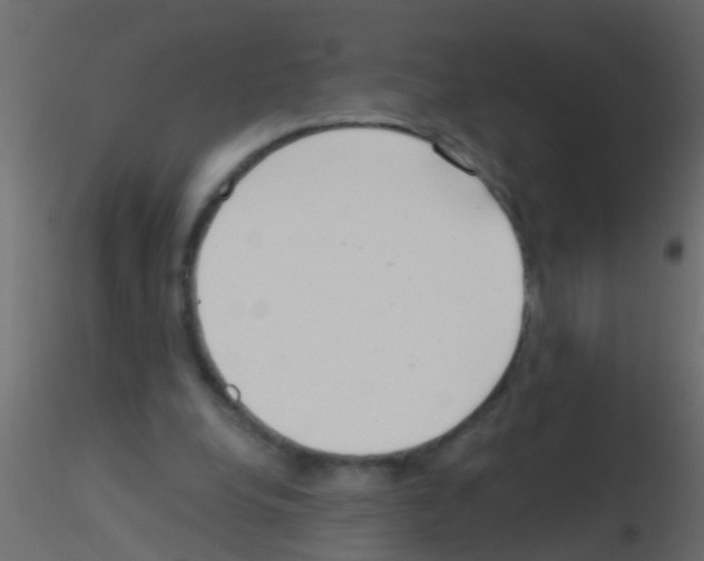 X0000115820248200912241941